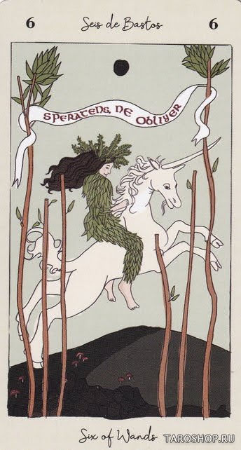 Tarot De Carlotydes